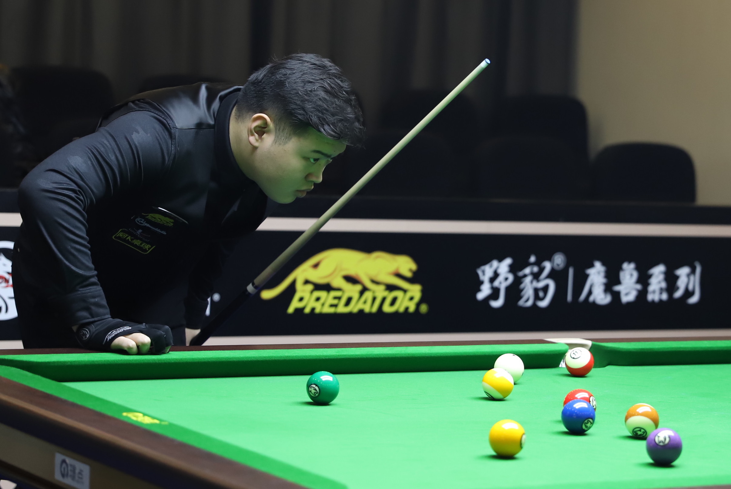 激发了公众 激发了公众