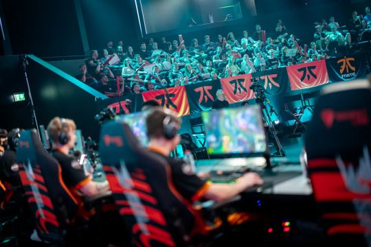 这一表现无 这一表现无